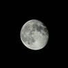 月撮った。