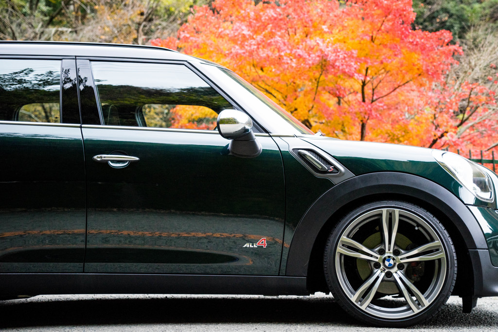 Autumn Drive.