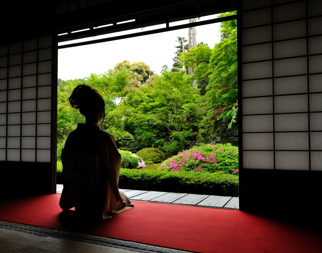 紫　泉涌寺にて