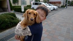 少年と犬