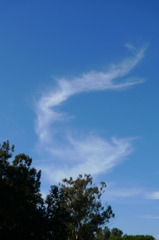 dragon cloud