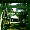 P3170055