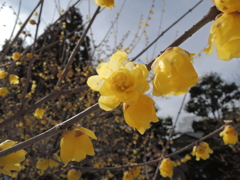 DSCN0195