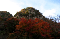 一目八景