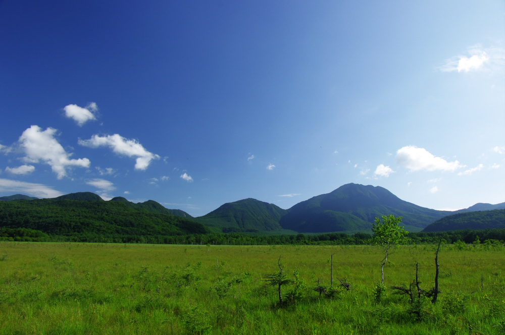 奥日光の戦場ヶ原、夏