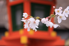 和