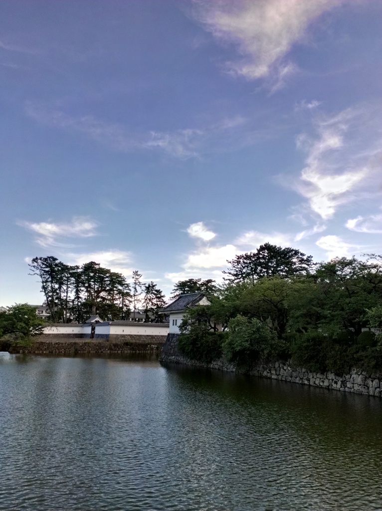 IMAG0231