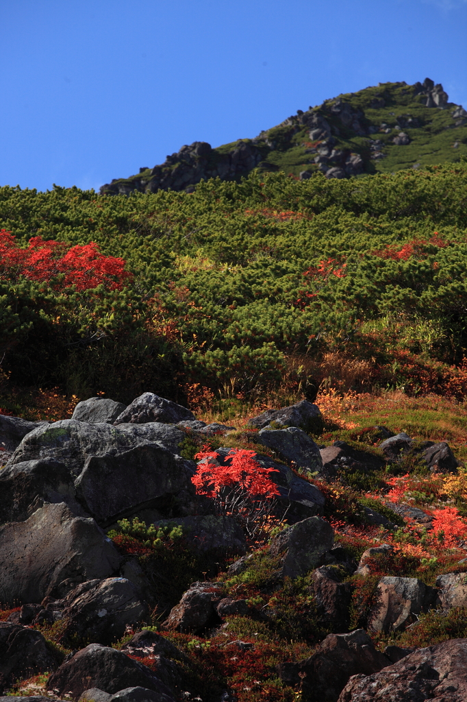 岩場の紅葉