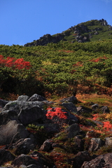 岩場の紅葉