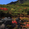 岩場の紅葉