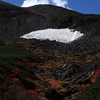 大雪渓