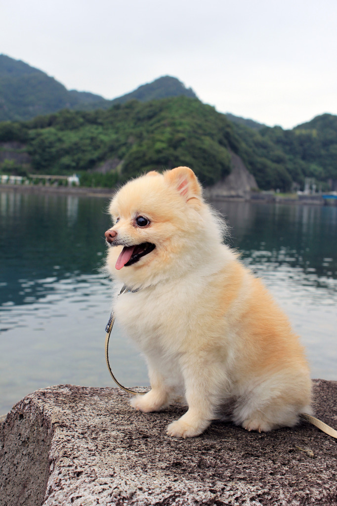 初めての海