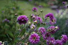 DSC01331