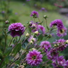 DSC01331