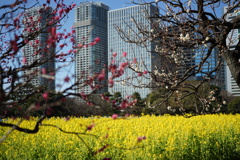 DSC02692