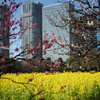 DSC02692