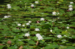 IMGP3790