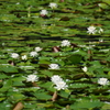 IMGP3790