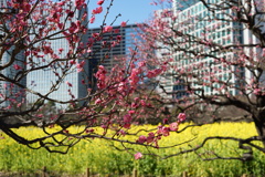 DSC02686
