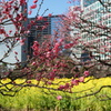 DSC02686