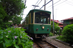 IMGP5830
