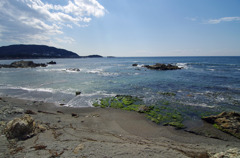 葉山の海