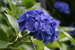 DSC01504