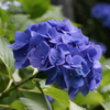 DSC01504