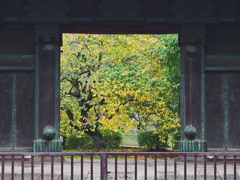 IMGP0838