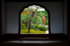 DSC09980