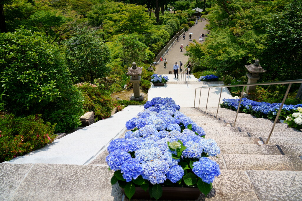 三室戸寺5