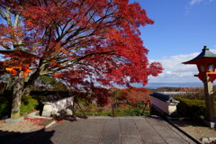 DSC05480