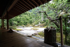 DSC01296