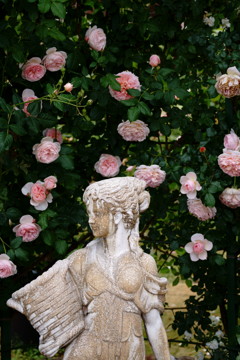 DSC03955