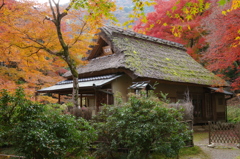 IMGP1863