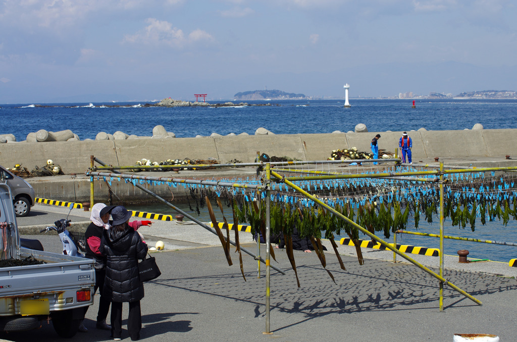 葉山の海