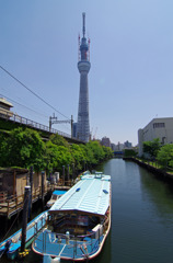 スカイツリー