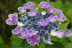 DSC01509