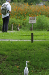 IMGP4240