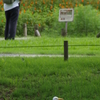IMGP4240