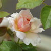 DSC00380