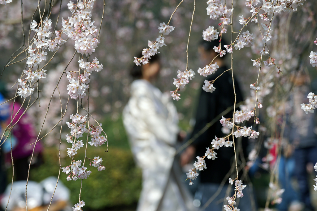 花の園で・・・