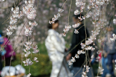 花の園で・・・