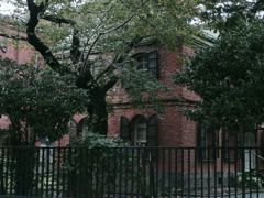 IMGP0837