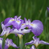 DSC00923