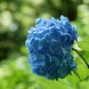 DSC00752