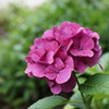 DSC01431