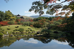 依水園