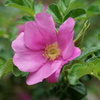 DSC00241