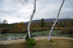 IMGP2439